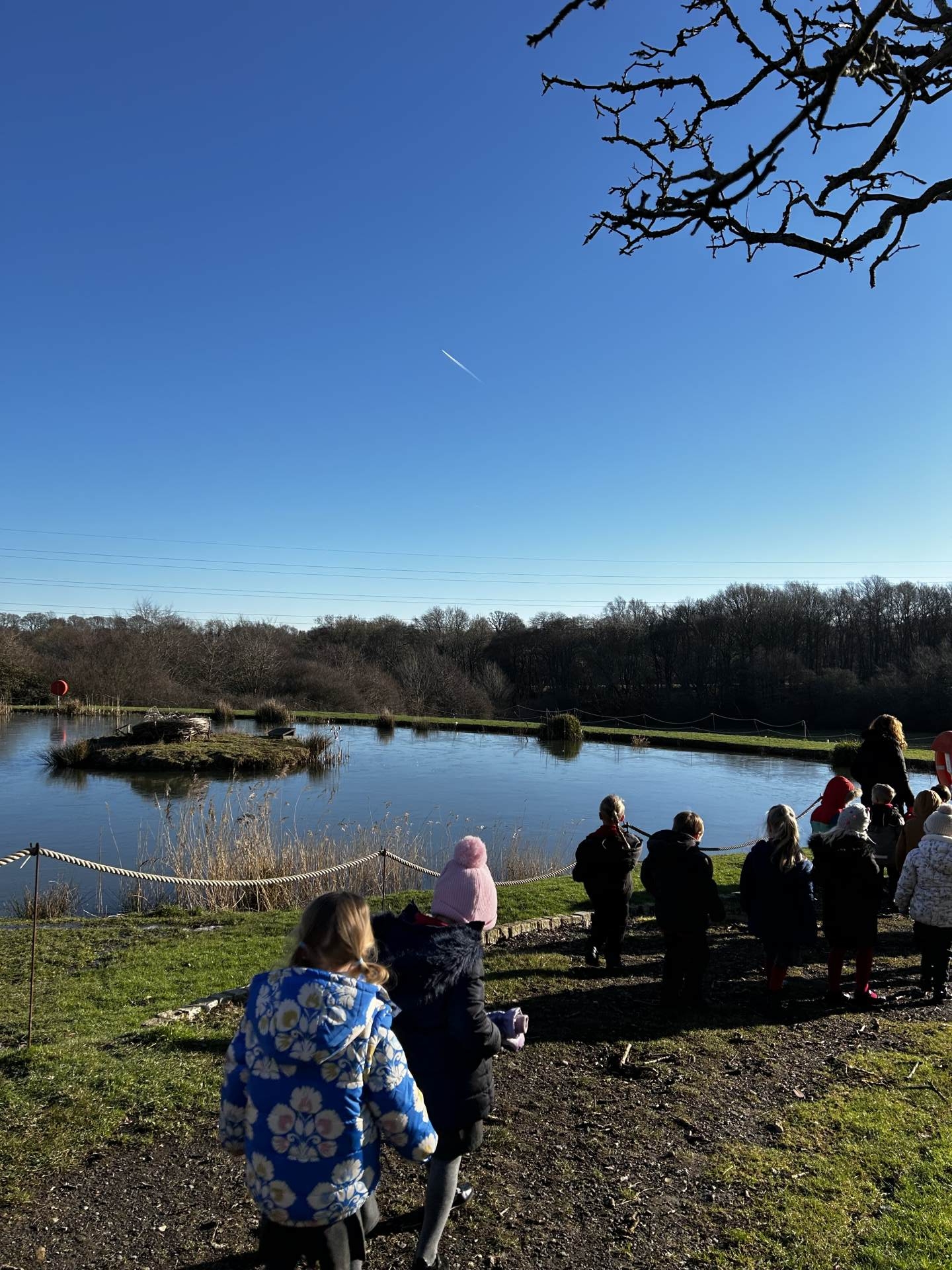 St Thomas Primary Winchelsea Newsletters