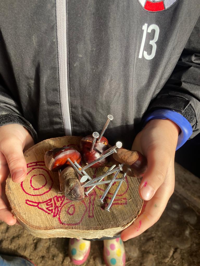 St Thomas Primary Winchelsea Forest School st-thomas-primary-winchelsea-forest-school